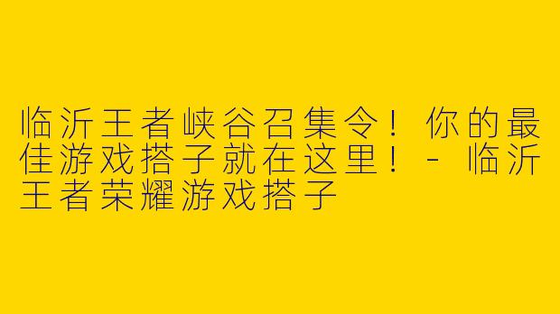 临沂王者峡谷召集令！你的最佳游戏搭子就在这里！-临沂王者荣耀游戏搭子