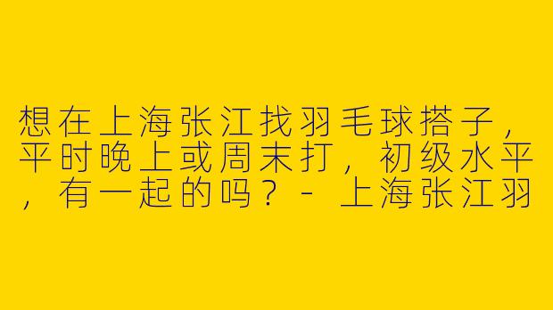 想在上海张江找羽毛球搭子，平时晚上或周末打，初级水平，有一起的吗？