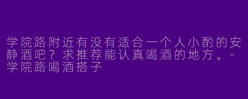 学院路附近有没有适合一个人小酌的安静酒吧？求推荐能认真喝酒的地方。