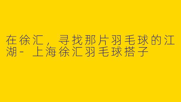 在徐汇，寻找那片羽毛球的江湖-上海徐汇羽毛球搭子