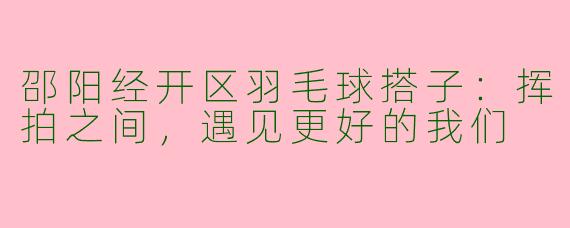 邵阳经开区羽毛球搭子：挥拍之间，遇见更好的我们