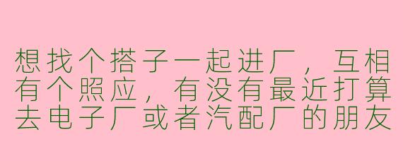 想找个搭子一起进厂，互相有个照应，有没有最近打算去电子厂或者汽配厂的朋友？可以一起了解待遇、面试，路上也能作伴。