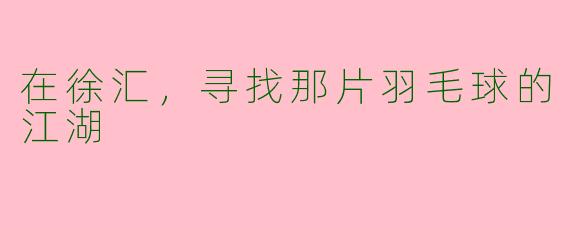 在徐汇，寻找那片羽毛球的江湖