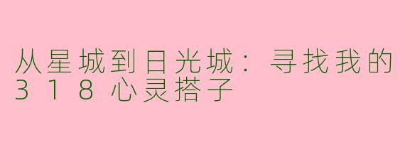 从星城到日光城:寻找我的318心灵搭子