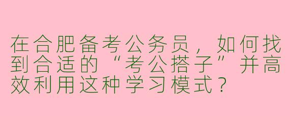 在合肥备考公务员，如何找到合适的“考公搭子”并高效利用这种学习模式？