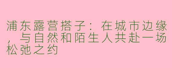 浦东露营搭子:在城市边缘,与自然和陌生人共赴一场松弛之约
