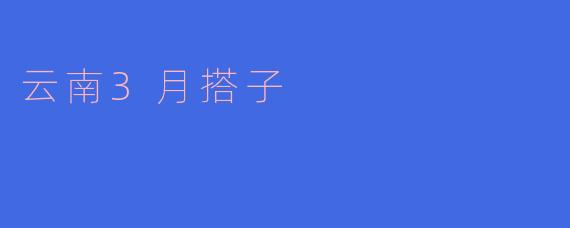 云南3月搭子