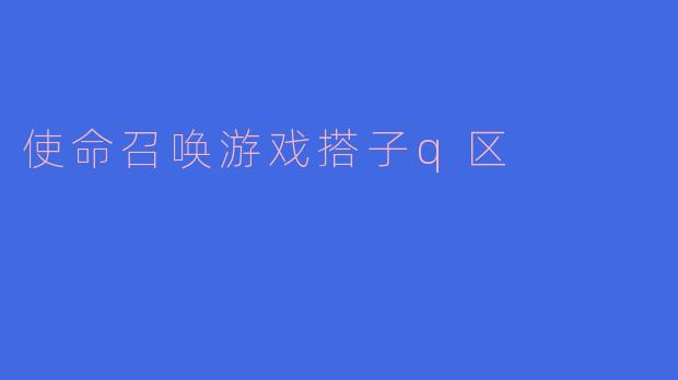使命召唤游戏搭子q区