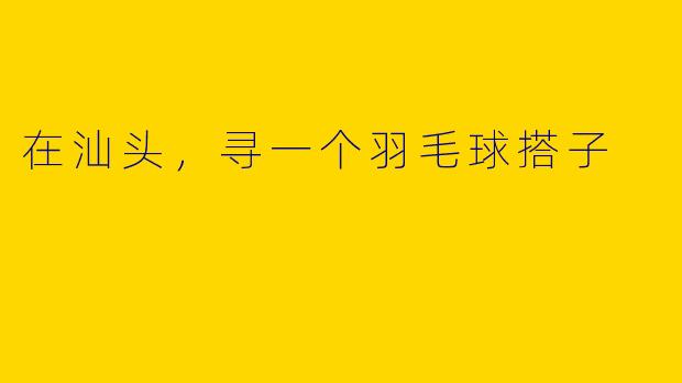 在汕头，寻一个羽毛球搭子