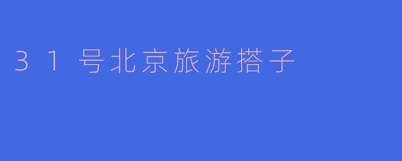31号北京旅游搭子