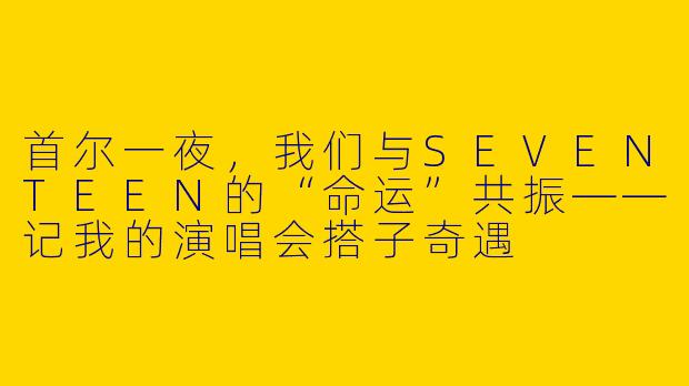 首尔一夜，我们与SEVENTEEN的“命运”共振——记我的演唱会搭子奇遇