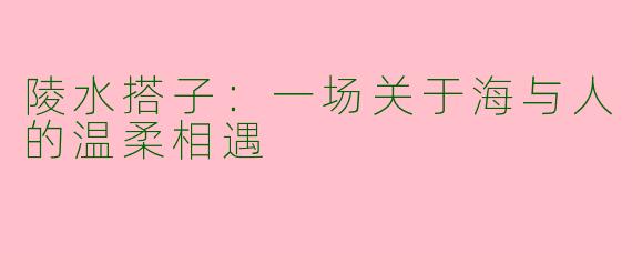 陵水搭子:一场关于海与人的温柔相遇