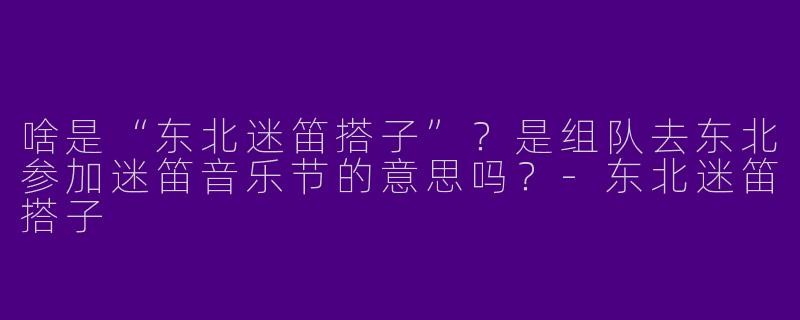 啥是“东北迷笛搭子”?是组队去东北参加迷笛音乐节的意思吗?-东北迷笛搭子