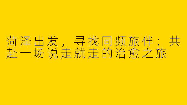 菏泽出发，寻找同频旅伴：共赴一场说走就走的治愈之旅
