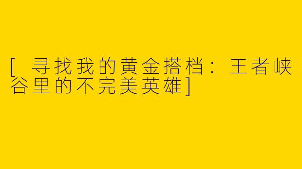 [寻找我的黄金搭档：王者峡谷里的不完美英雄]