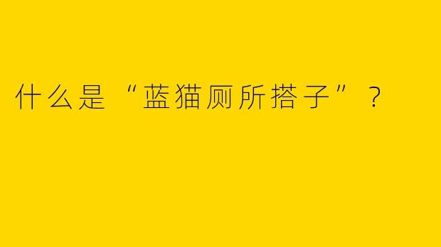 什么是“蓝猫厕所搭子”？