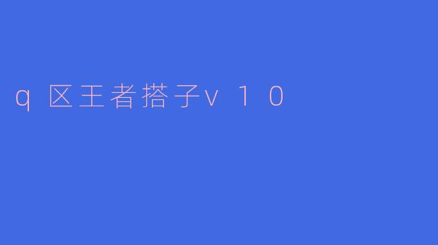 q区王者搭子v10