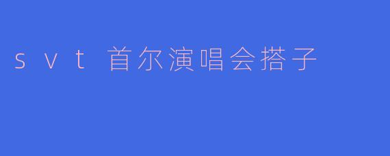 svt首尔演唱会搭子