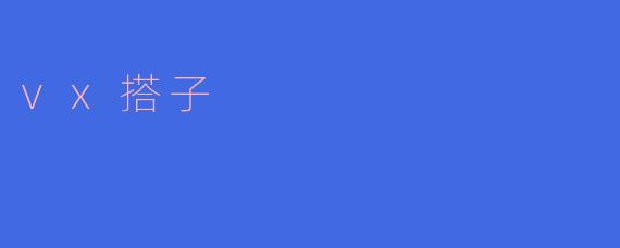 VX搭子：数字时代的轻社交样本