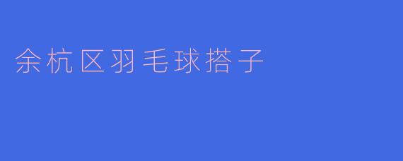 余杭区羽毛球搭子