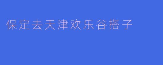 保定去天津欢乐谷搭子