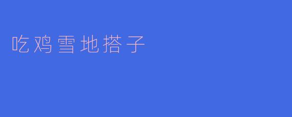 吃鸡雪地搭子