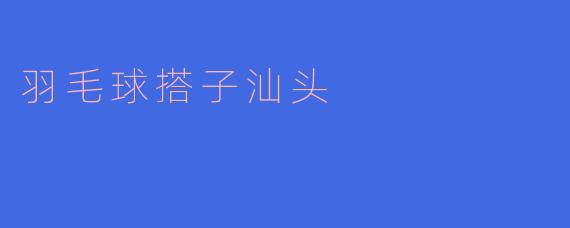 羽毛球搭子汕头