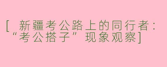 [新疆考公路上的同行者：“考公搭子”现象观察]
