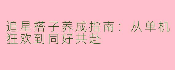 追星搭子养成指南：从单机狂欢到同好共赴