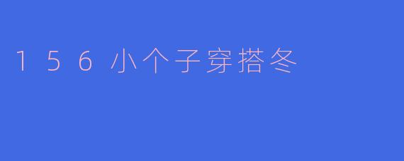 156小个子穿搭冬