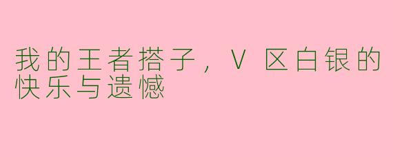 我的王者搭子,V区白银的快乐与遗憾