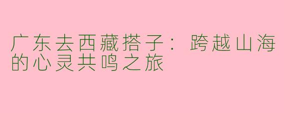 广东去西藏搭子:跨越山海的心灵共鸣之旅