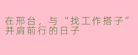 在邢台，与“找工作搭子”并肩前行的日子
