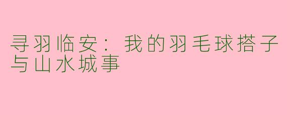 寻羽临安：我的羽毛球搭子与山水城事