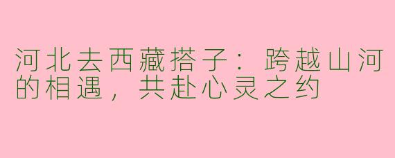 河北去西藏搭子：跨越山河的相遇，共赴心灵之约