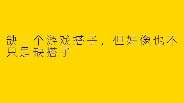 缺一个游戏搭子，但好像也不只是缺搭子
