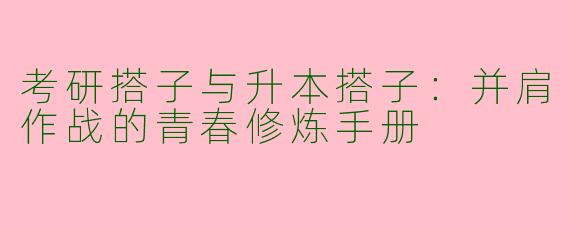 考研搭子与升本搭子：并肩作战的青春修炼手册
