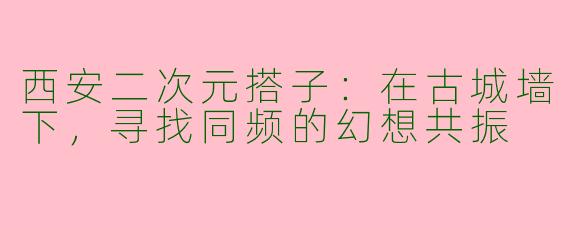 西安二次元搭子：在古城墙下，寻找同频的幻想共振