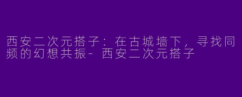 西安二次元搭子：在古城墙下，寻找同频的幻想共振-西安二次元搭子