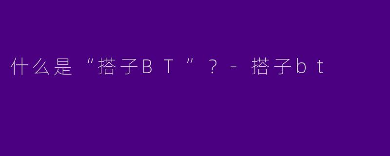 什么是“搭子BT”？