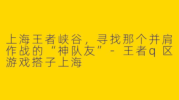 上海王者峡谷,寻找那个并肩作战的“神队友”-王者q区游戏搭子上海