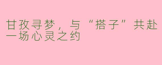甘孜寻梦，与“搭子”共赴一场心灵之约