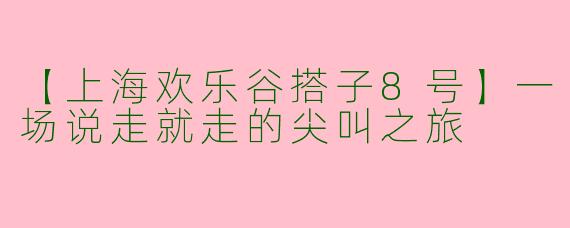 【上海欢乐谷搭子8号】一场说走就走的尖叫之旅
