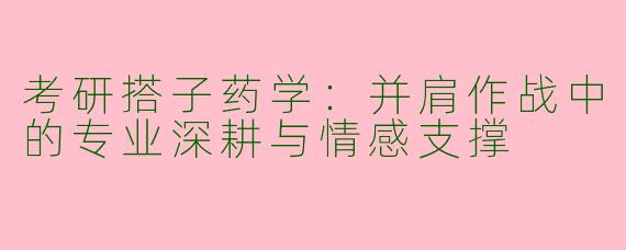 考研搭子药学：并肩作战中的专业深耕与情感支撑