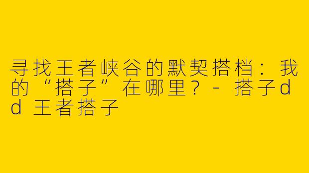 寻找王者峡谷的默契搭档：我的“搭子”在哪里？-搭子dd王者搭子