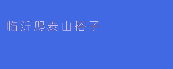 临沂爬泰山搭子