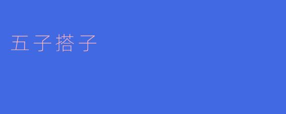 五子搭子