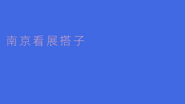 南京看展搭子