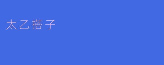 太乙搭子