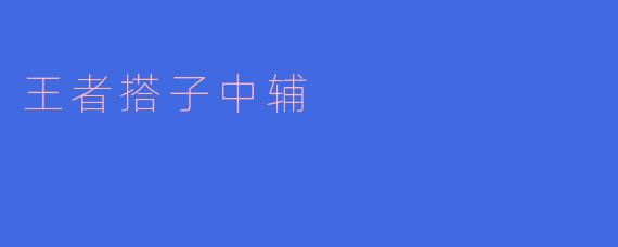 王者搭子中辅